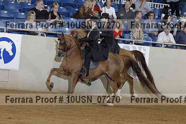 Proof 10usn_07270