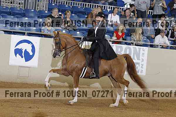 Proof 10usn_07271