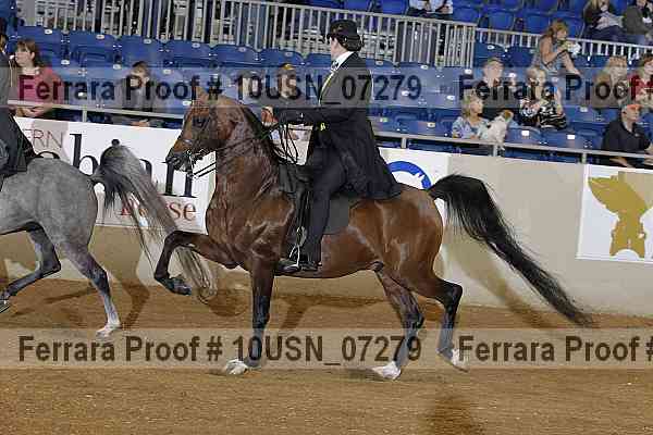 Proof 10usn_07279