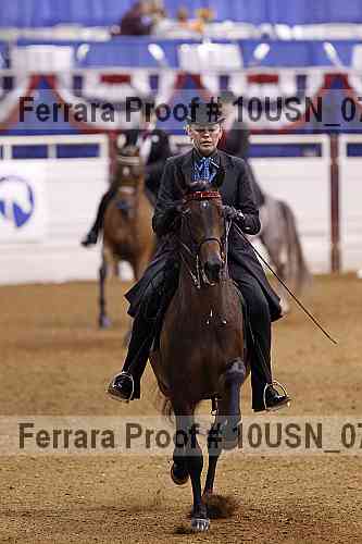 Proof 10usn_07283