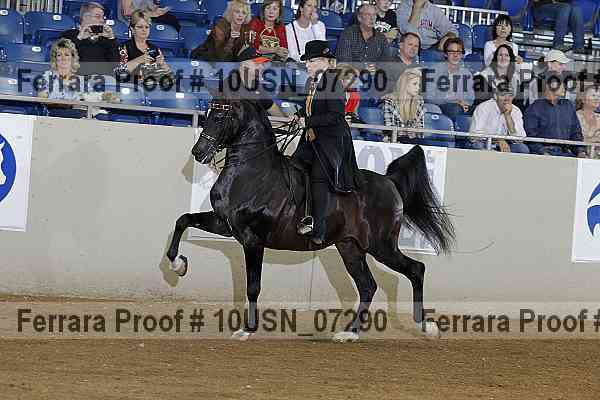 Proof 10usn_07290