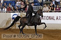 10usn_07298 proof