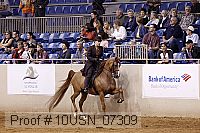 10usn_07309 proof