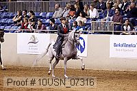 10usn_07316 proof