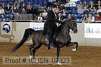 10usn_07323 proof