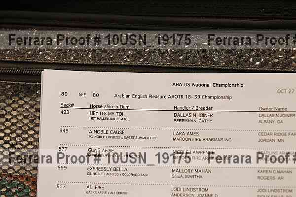 Proof 10usn_19175