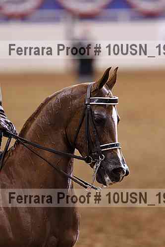 Proof 10usn_19181