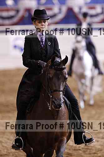 Proof 10usn_19193