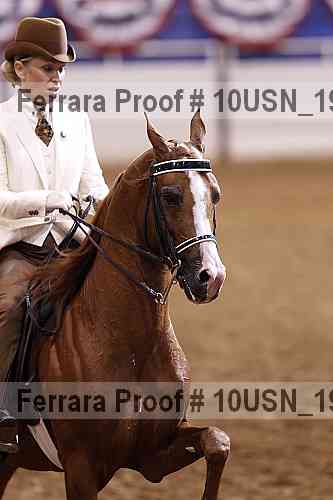 Proof 10usn_19208
