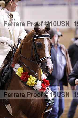 Proof 10usn_19284