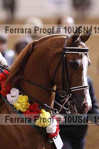 Proof 10usn_19285