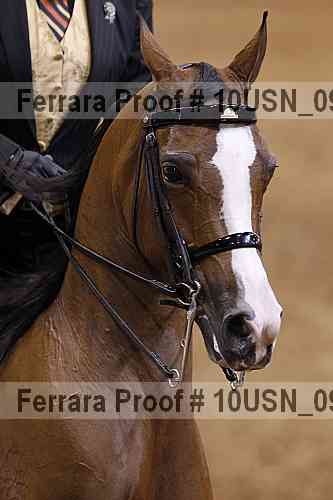 Proof 10usn_09438