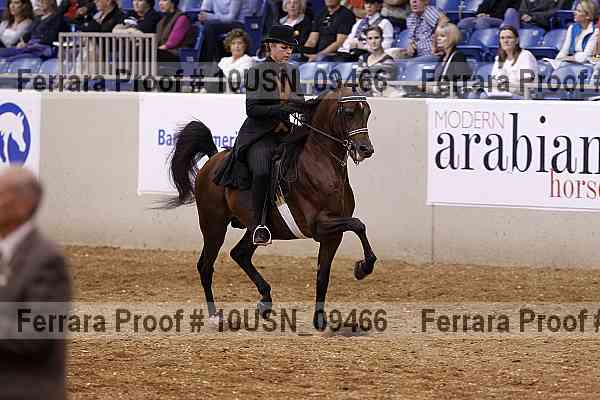 Proof 10usn_09466