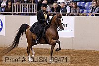 10usn_09471 proof