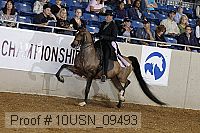 10usn_09493 proof
