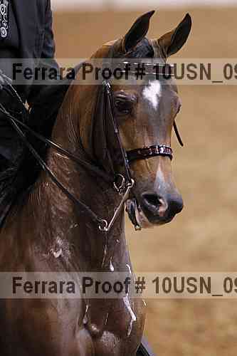 Proof 10usn_09495
