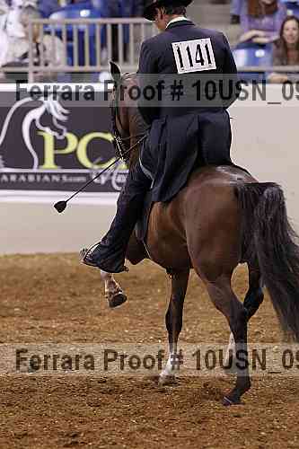 Proof 10usn_09519