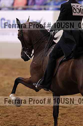 Proof 10usn_09520
