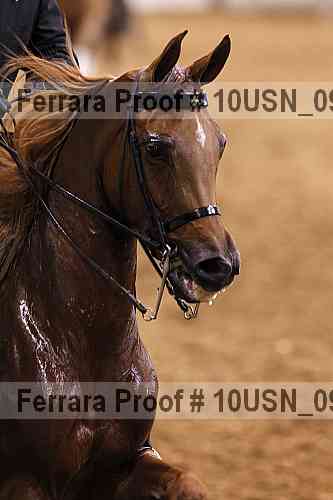 Proof 10usn_09539