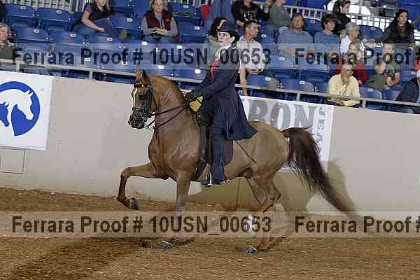 Proof 10usn_00653