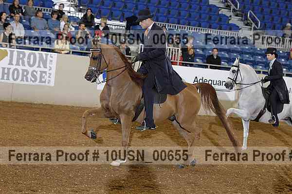 Proof 10usn_00655