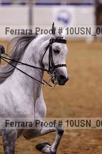 Proof 10usn_00670