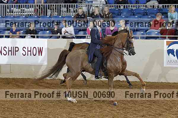 Proof 10usn_00690