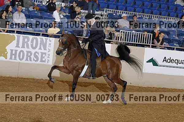 Proof 10usn_00733