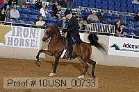 10usn_00733 proof