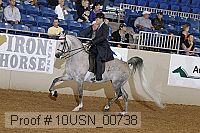 10usn_00738 proof