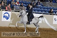 10usn_16209 proof