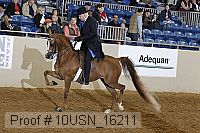 10usn_16211 proof