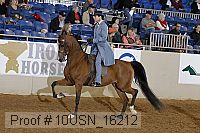10usn_16212 proof