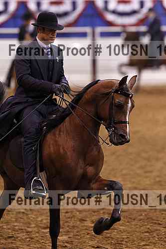 Proof 10usn_16213