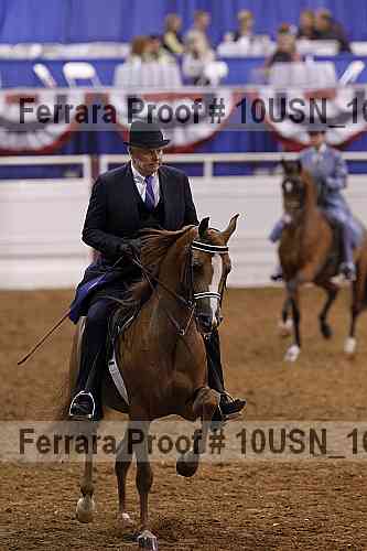 Proof 10usn_16217
