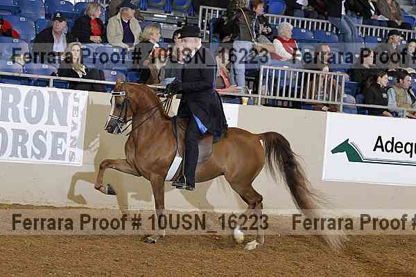 Proof 10usn_16223