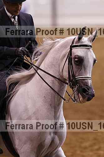Proof 10usn_16227