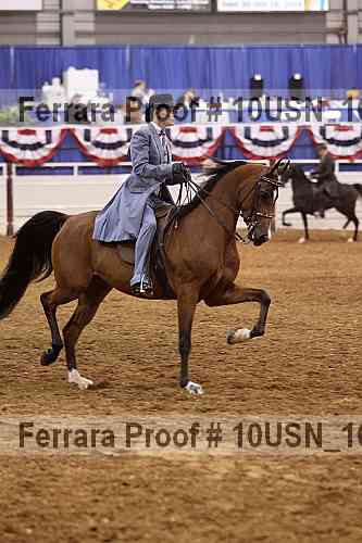 Proof 10usn_16238