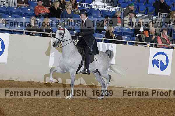 Proof 10usn_16239