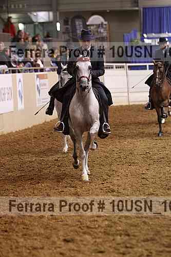 Proof 10usn_16245