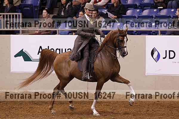 Proof 10usn_16247