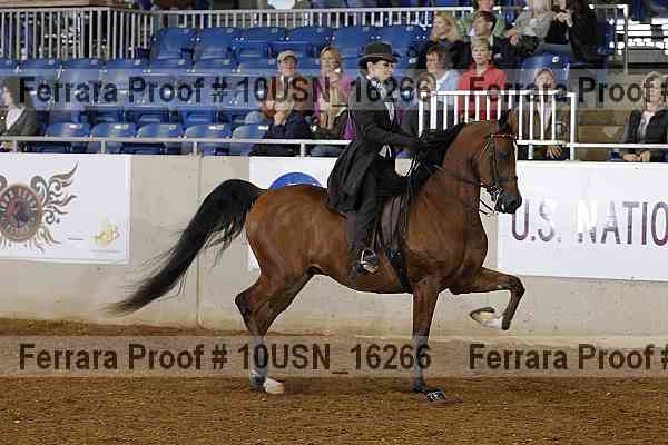 Proof 10usn_16266