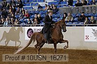 10usn_16271 proof