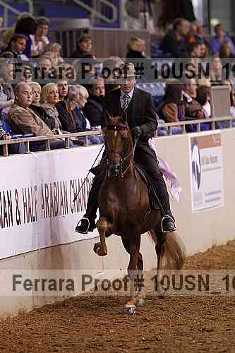 Proof 10usn_16276