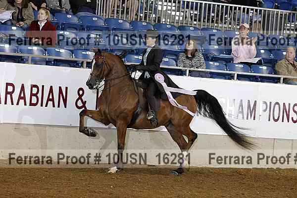 Proof 10usn_16281