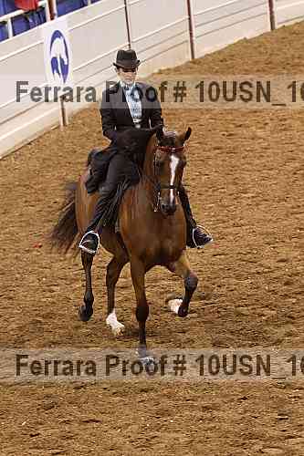 Proof 10usn_16288