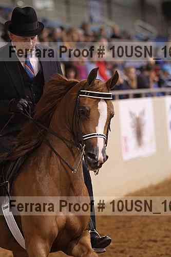 Proof 10usn_16299