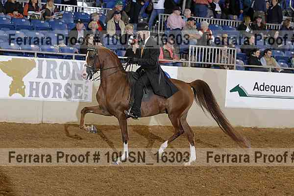 Proof 10usn_16303