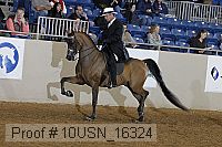 10usn_16324 proof