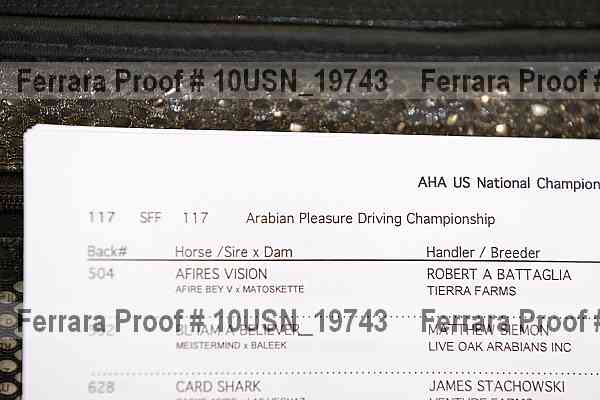 Proof 10usn_19743